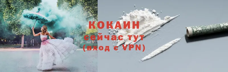 Cocaine Fish Scale  Алексин 